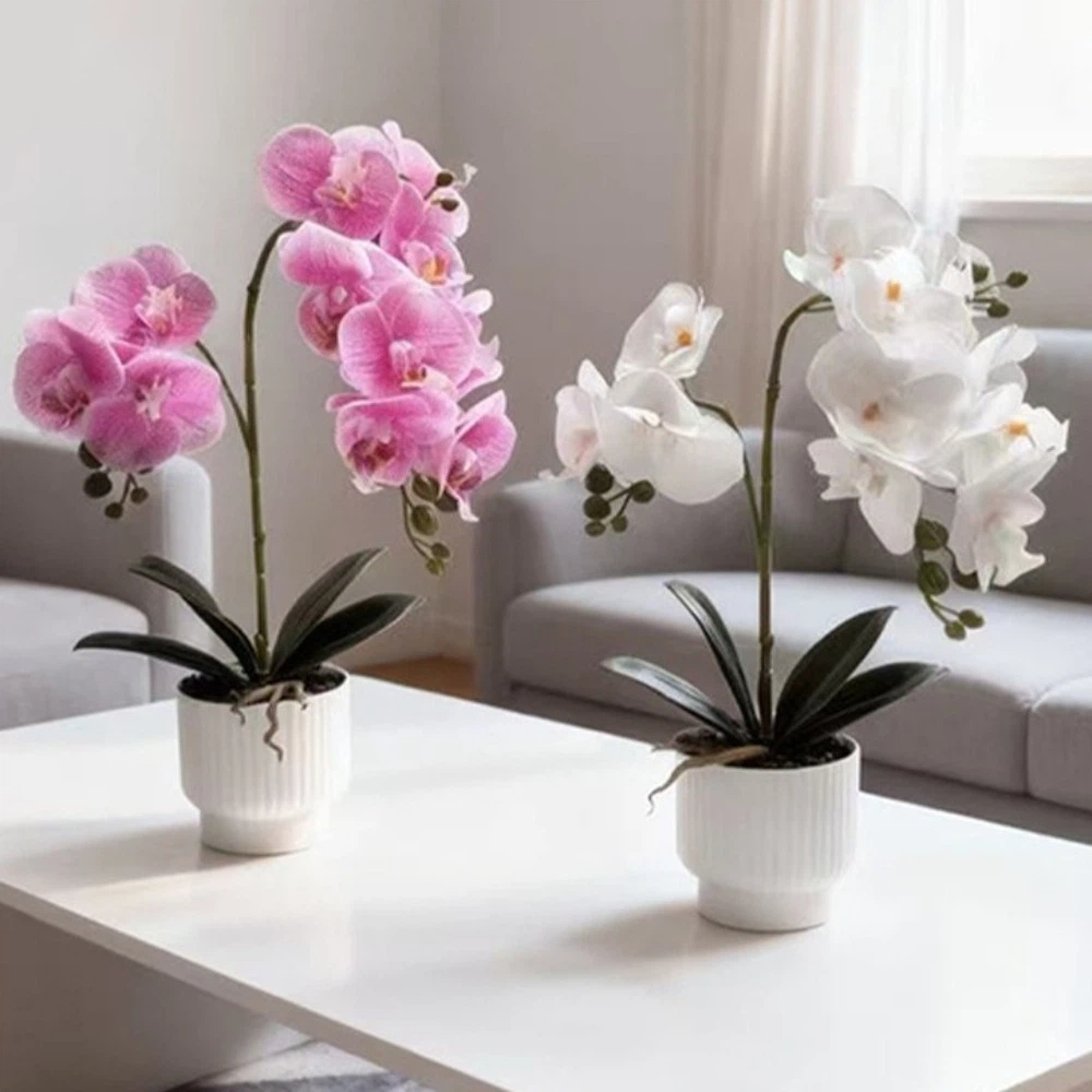 Orchid Phalaenopsis - Orchidée Papillon Artificielle Multi-Fleurs DIY, Pot
