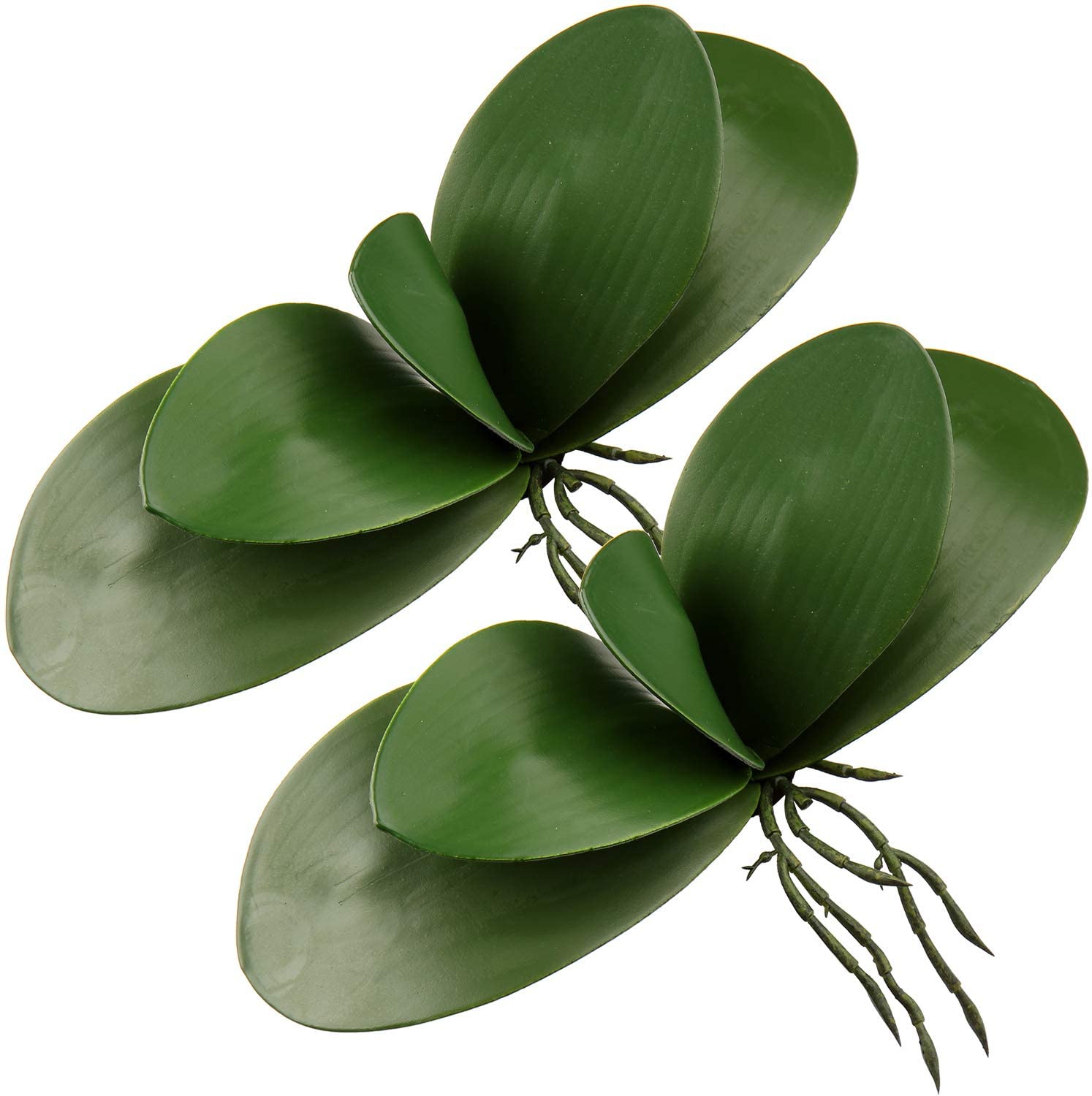 Orchid Phalaenopsis - Feuilles Artificielles Phalaenopsis Vrai Latex Toucher