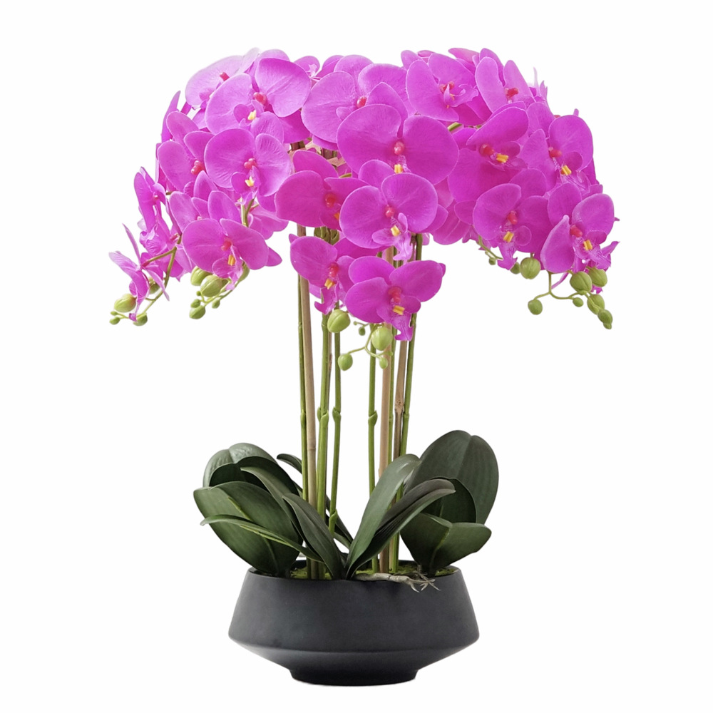 Orchid Phalaenopsis - Phalaenopsis artificielle en pot, orchidée papillon