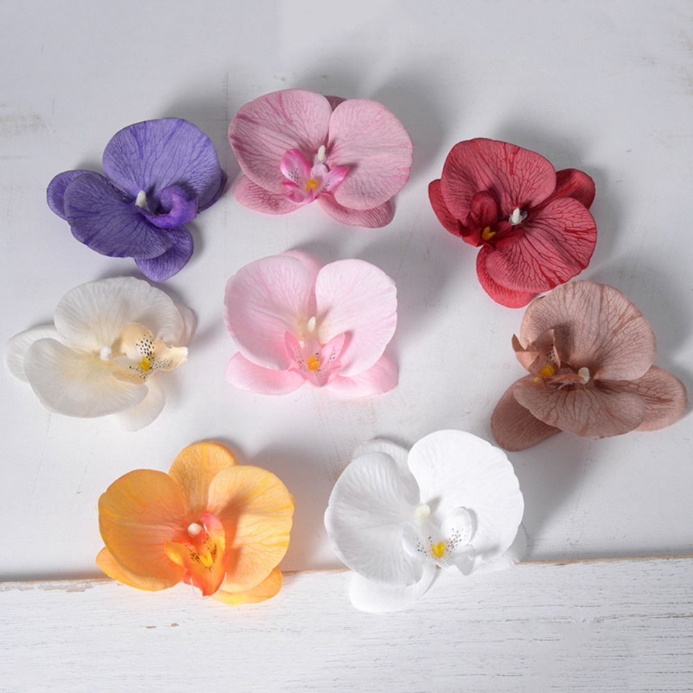 Orchid Phalaenopsis - Têtes de fleurs de Phalaenopsis DIY