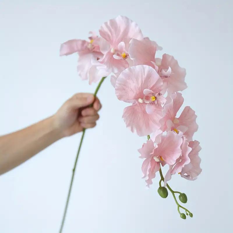 Orchid Phalaenopsis - Longue branche papillon orchidées fleurs artificielles