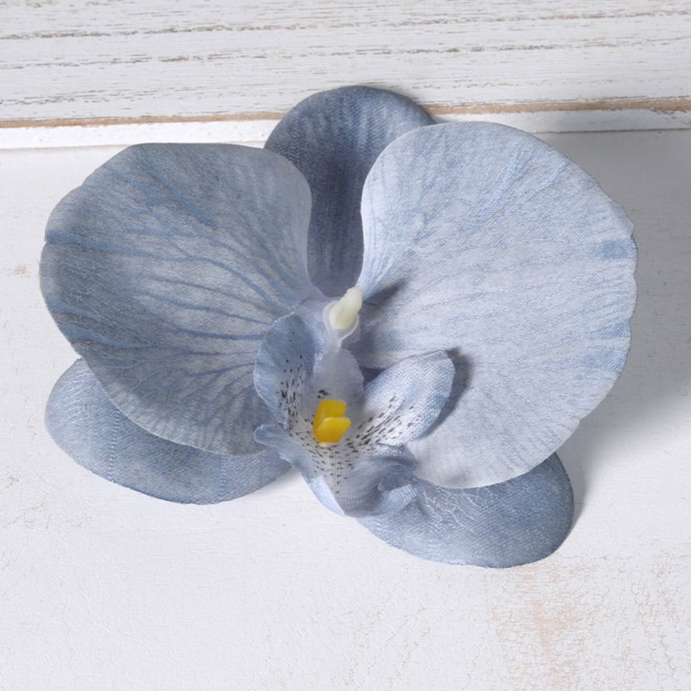 Orchid Phalaenopsis - Tête de fleur de phalaenopsis DIY
