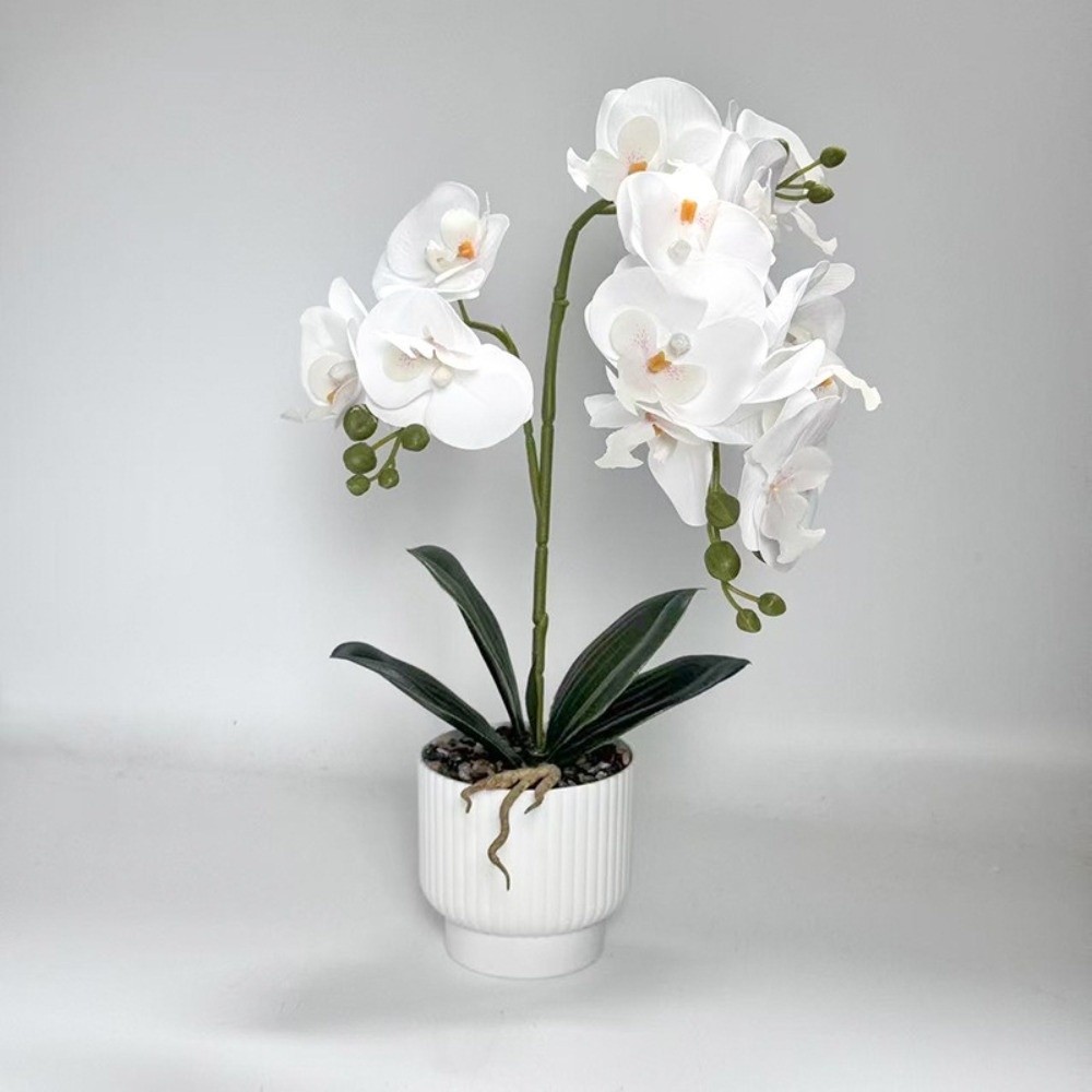 Orchidée Papillon Artificielle - Orchid Phalaenopsis avis et prix