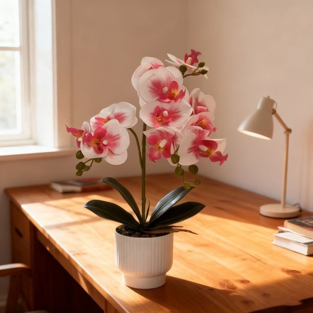 Orchidée Papillon Artificielle - Orchid Phalaenopsis avis et prix
