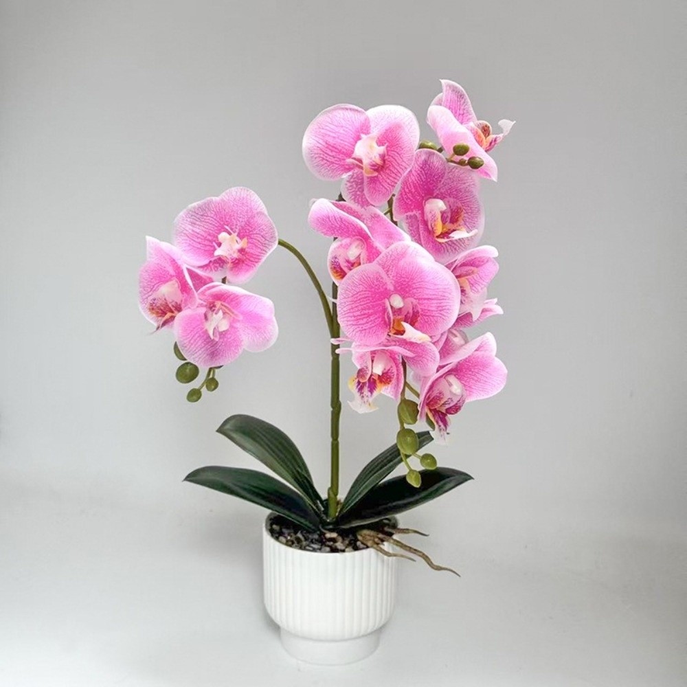Orchidée Papillon Artificielle - Orchid Phalaenopsis avis et prix