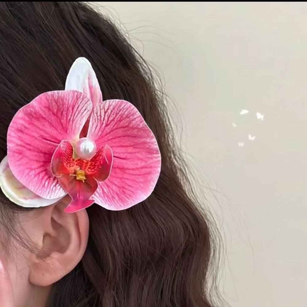 Pince à cheveux Phalaenopsis e - Orchid Phalaenopsis avis et prix