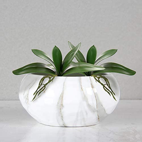 Feuilles Artificielles Phalaen - Orchid Phalaenopsis avis et prix