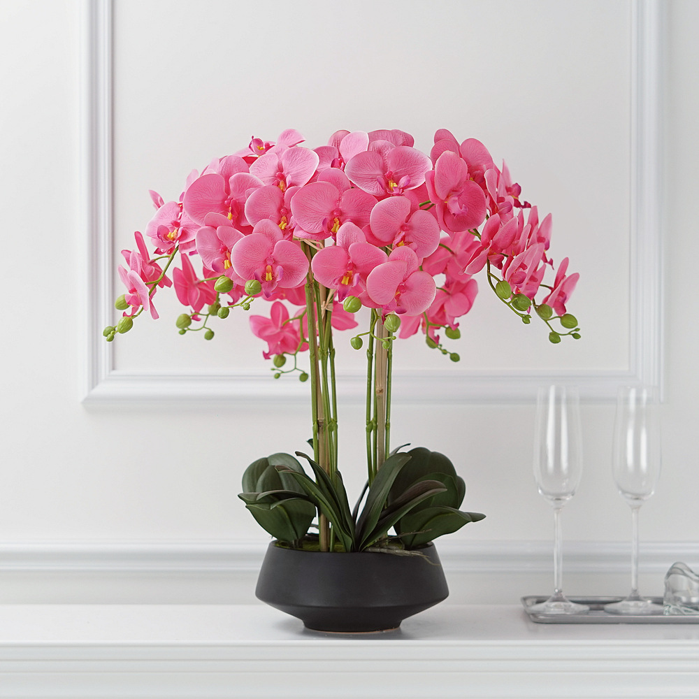 Phalaenopsis artificielle en p - Orchid Phalaenopsis avis et prix