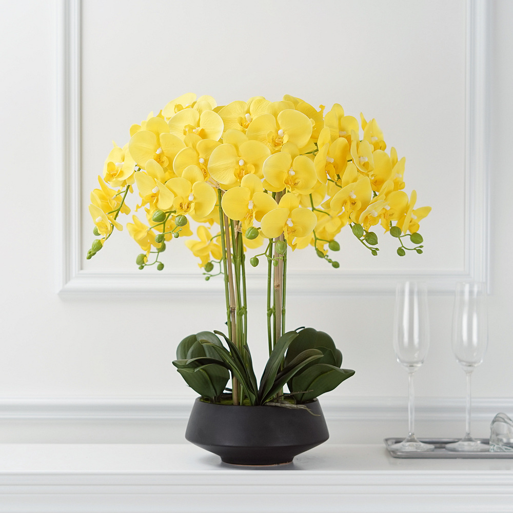 Phalaenopsis artificielle en p - Orchid Phalaenopsis avis et prix