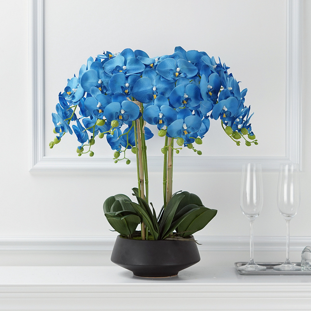 Phalaenopsis artificielle en p - Orchid Phalaenopsis avis et prix