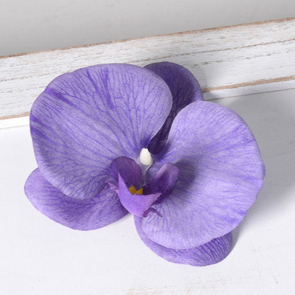 Têtes de fleurs de Phalaenopsi - Orchid Phalaenopsis avis et prix