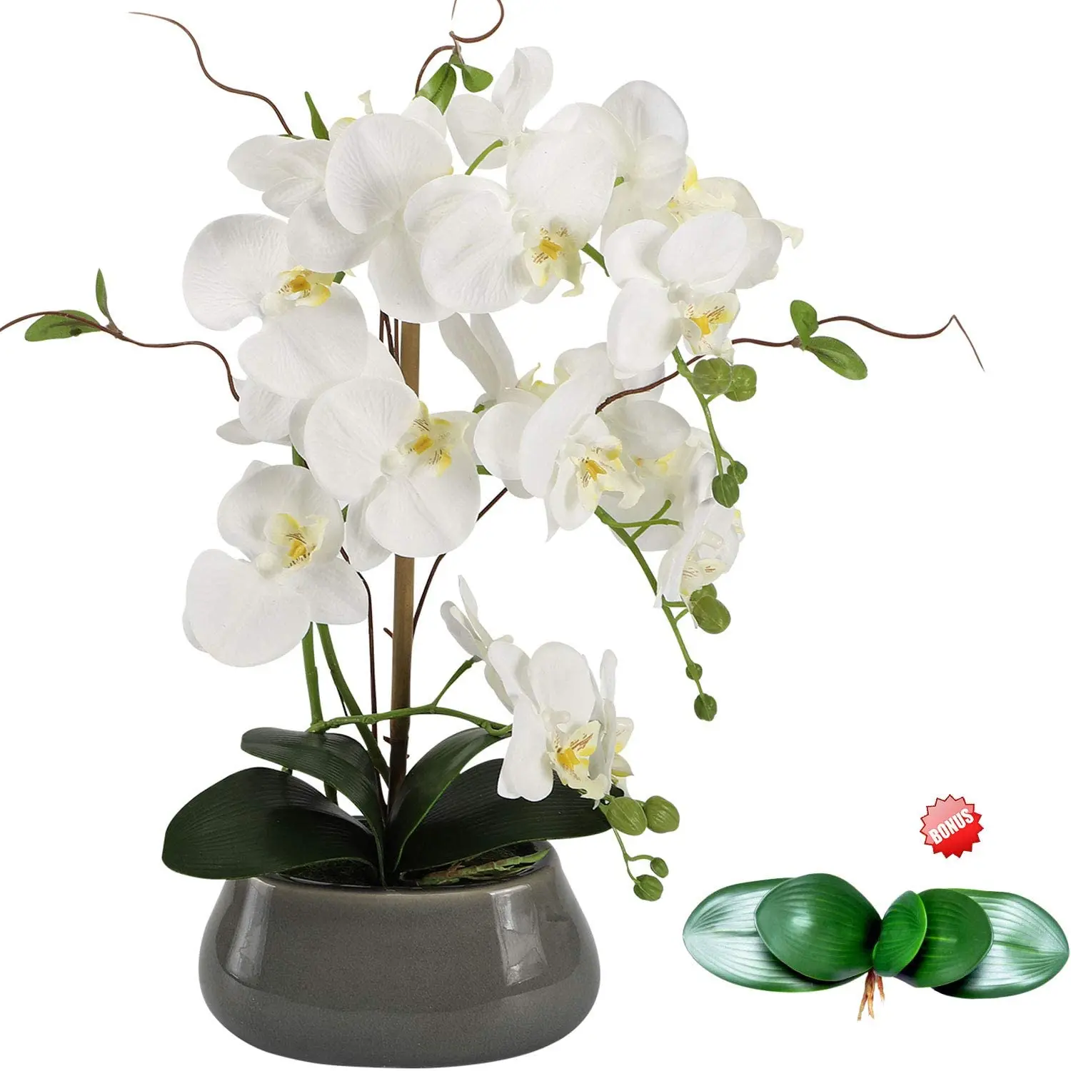 Centre de Table Orchidée Artif - Orchid Phalaenopsis avis et prix