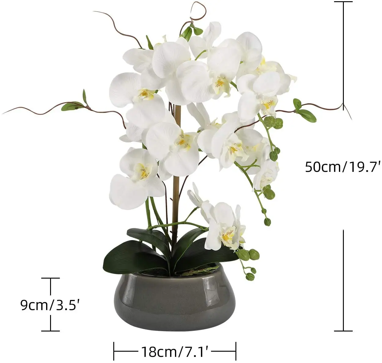 Centre de Table Orchidée Artif - Orchid Phalaenopsis avis et prix