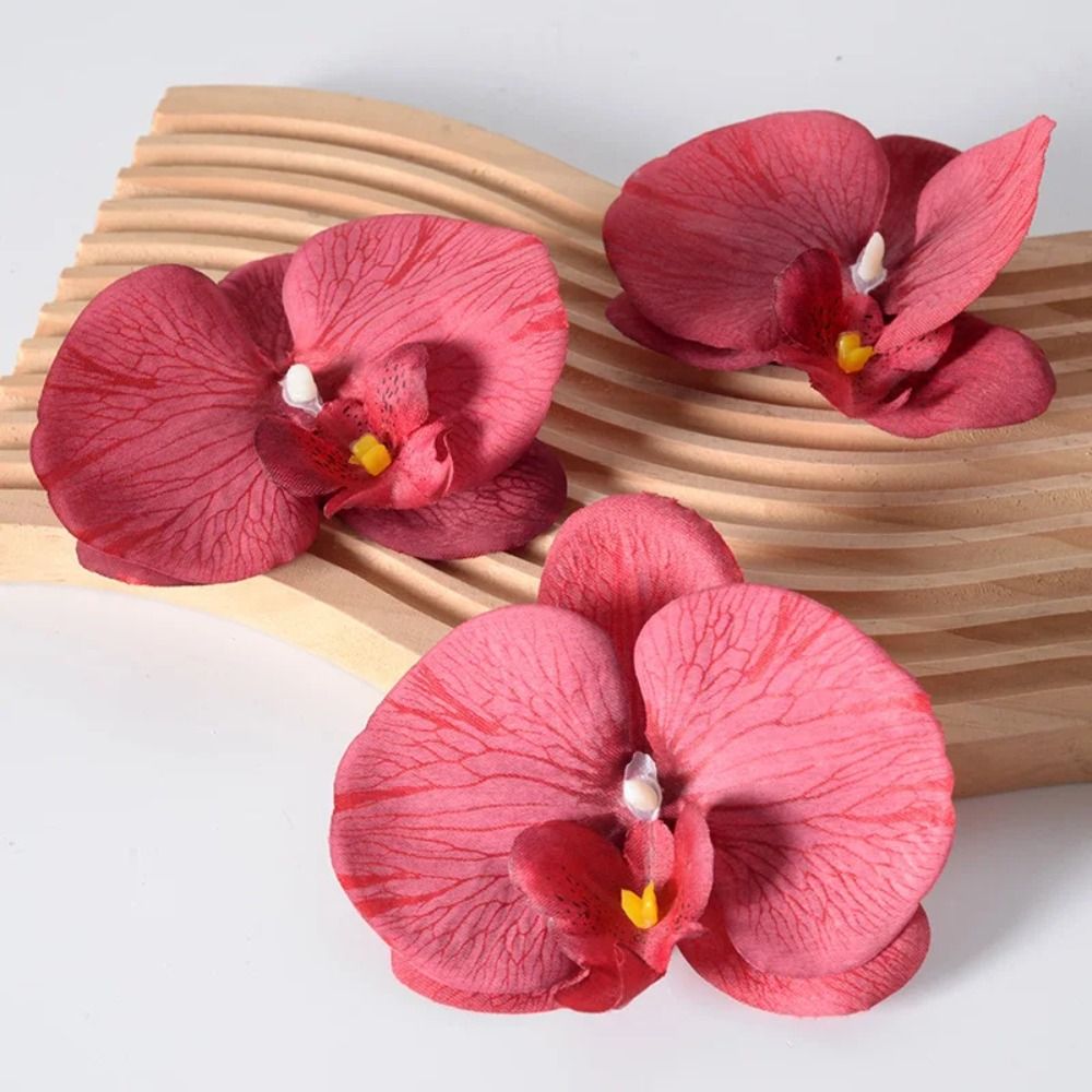 Tête de fleur de phalaenopsis  - Orchid Phalaenopsis avis et prix