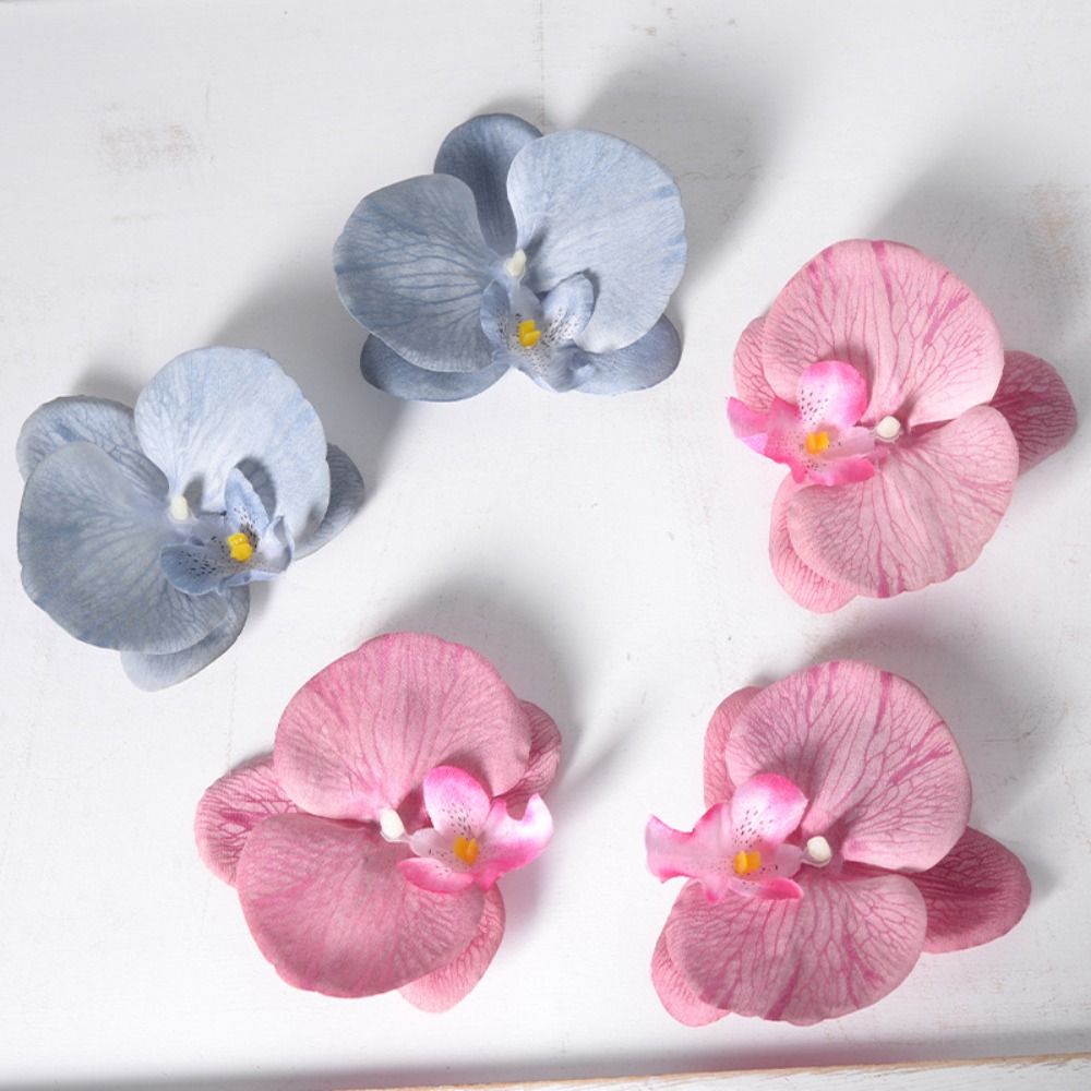 Tête de fleur de phalaenopsis  - Orchid Phalaenopsis avis et prix