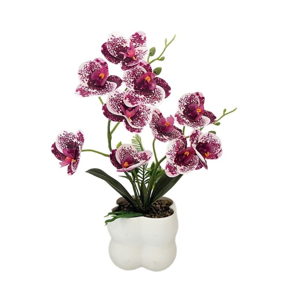 Orchidée Papillon Artificielle - Orchid Phalaenopsis avis et prix