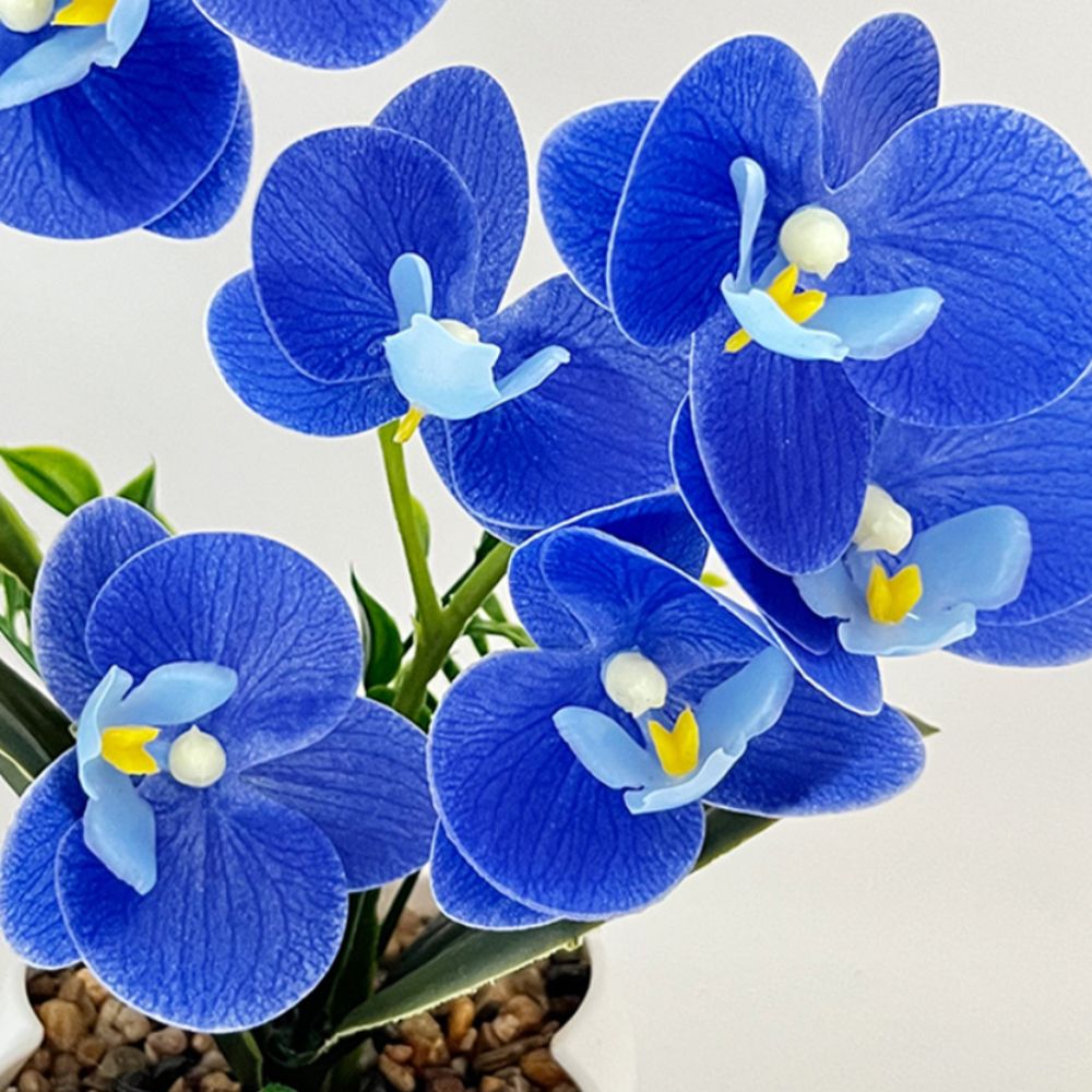 Orchidée Papillon Artificielle - Orchid Phalaenopsis avis et prix
